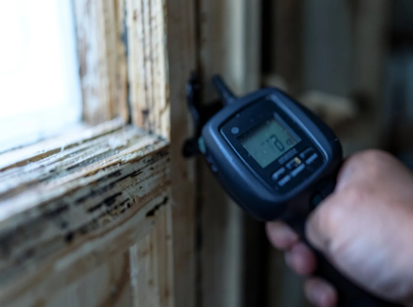 Moisture Inspection And Documentation in Little Elm, TX